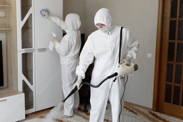 Best Industrial Mold Remediation in Evansburg, PA